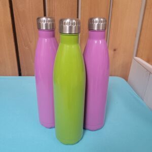 Lot Of 3 HD Designs Stainless Steel Water Bottles 12.5" Tall Green Pink New